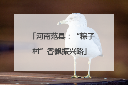 河南范县：“粽子村”香飘振兴路