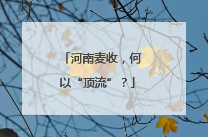 河南麦收，何以“顶流”？