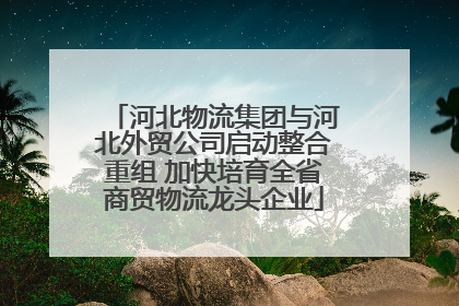 河北物流集团与河北外贸公司启动整合重组 加快培育全省商贸物流龙头企业