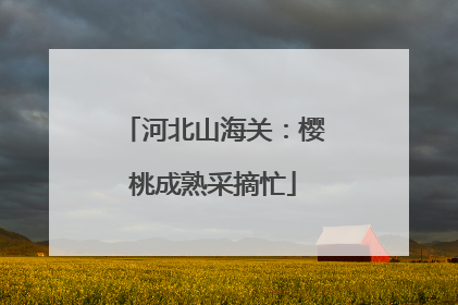 河北山海关：樱桃成熟采摘忙
