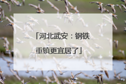 河北武安：钢铁重镇更宜居了