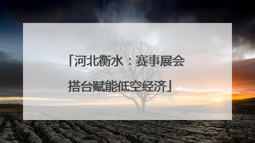 河北衡水：赛事展会搭台赋能低空经济