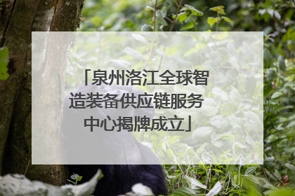 泉州洛江全球智造装备供应链服务中心揭牌成立