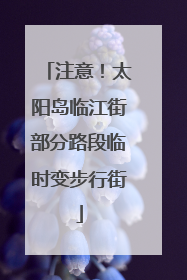 注意！太阳岛临江街部分路段临时变步行街
