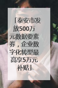 泰安市发放500万元数据要素券，企业数字化转型最高享5万元补贴