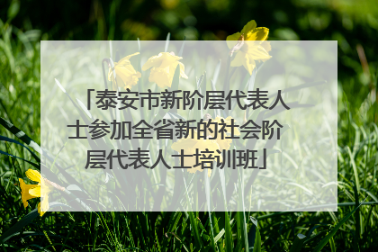 泰安市新阶层代表人士参加全省新的社会阶层代表人士培训班