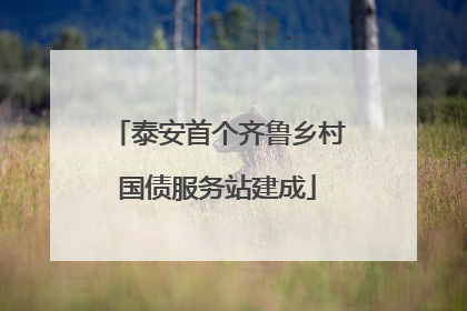 泰安首个齐鲁乡村国债服务站建成