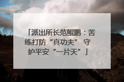 派出所长范鲲鹏：苦练打防“真功夫” 守护平安“一片天”