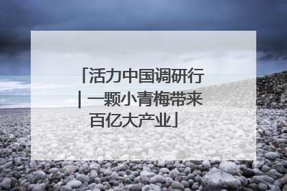活力中国调研行｜一颗小青梅带来百亿大产业