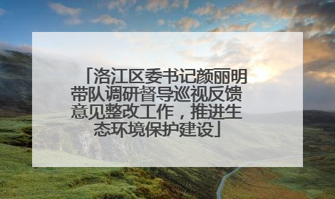 洛江区委书记颜丽明带队调研督导巡视反馈意见整改工作，推进生态环境保护建设