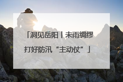 洞见岳阳丨未雨绸缪 打好防汛“主动仗”