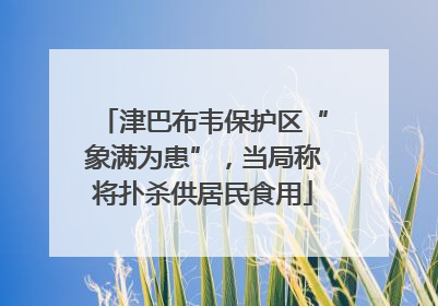 津巴布韦保护区“象满为患”，当局称将扑杀供居民食用
