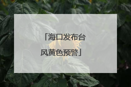 海口发布台风黄色预警