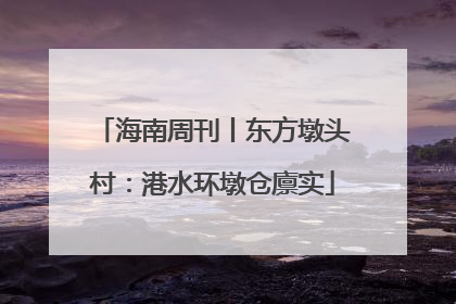 海南周刊丨东方墩头村：港水环墩仓廪实