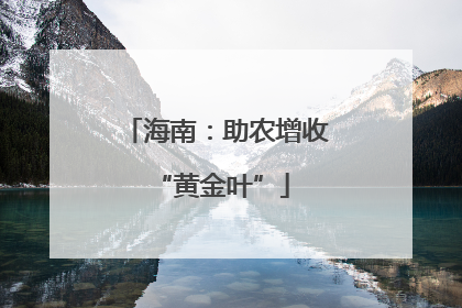 海南：助农增收 “黄金叶”