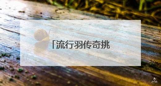 流行羽传奇挑战赛洛阳挥拍 点燃端午假期