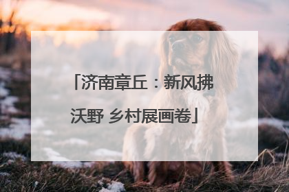 济南章丘：新风拂沃野 乡村展画卷