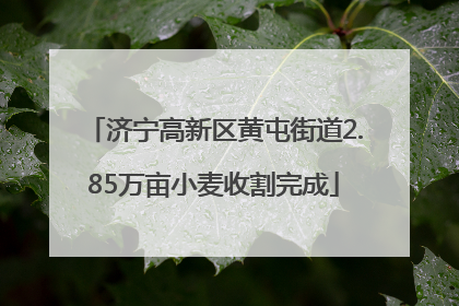 济宁高新区黄屯街道2.85万亩小麦收割完成