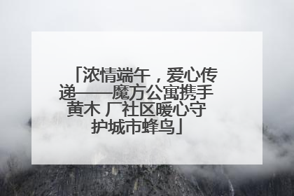 浓情端午，爱心传递——魔方公寓携手黄木 厂社区暖心守护城市蜂鸟