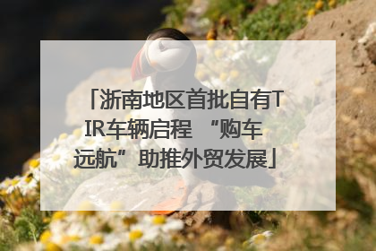 浙南地区首批自有TIR车辆启程 “购车远航”助推外贸发展