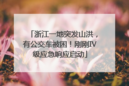 浙江一地突发山洪，有公交车被困！刚刚Ⅳ级应急响应启动