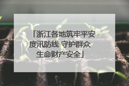 浙江各地筑牢平安度汛防线 守护群众生命财产安全