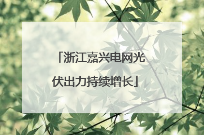 浙江嘉兴电网光伏出力持续增长