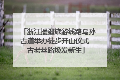 浙江援疆旅游线路乌孙古道举办徒步开山仪式 古老丝路焕发新生