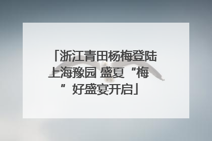浙江青田杨梅登陆上海豫园 盛夏“梅”好盛宴开启