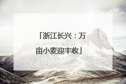 浙江长兴：万亩小麦迎丰收