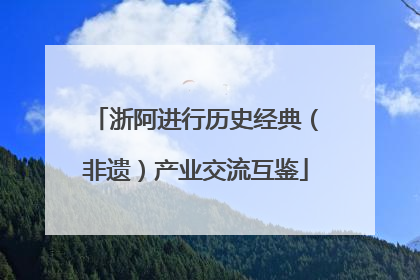 浙阿进行历史经典（非遗）产业交流互鉴