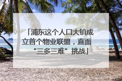 浦东这个人口大镇成立首个物业联盟，直面“三多三难”挑战