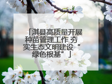 淇县高质量开展种苗管理工作 夯实生态文明建设“绿色根基”