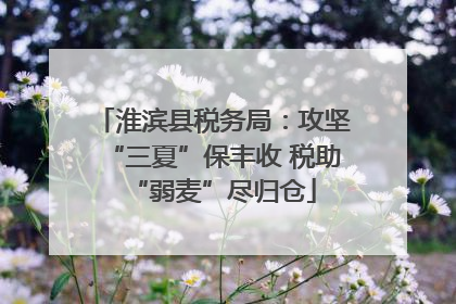 淮滨县税务局：攻坚“三夏”保丰收 税助“弱麦”尽归仓