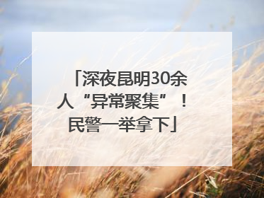 深夜昆明30余人“异常聚集”！民警一举拿下