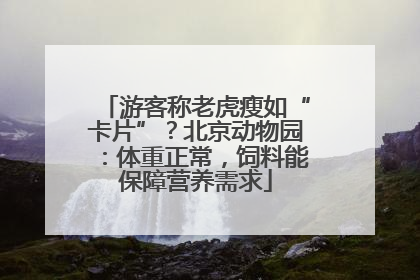 游客称老虎瘦如“卡片”？北京动物园：体重正常，饲料能保障营养需求