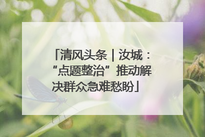 清风头条｜汝城：“点题整治”推动解决群众急难愁盼