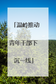 温岭推动青年干部下沉一线
