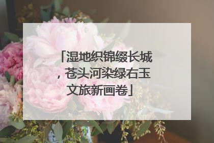 湿地织锦缀长城，苍头河染绿右玉文旅新画卷