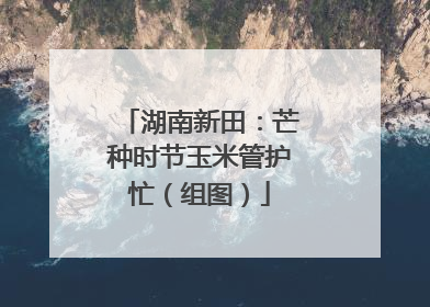 湖南新田：芒种时节玉米管护忙（组图）