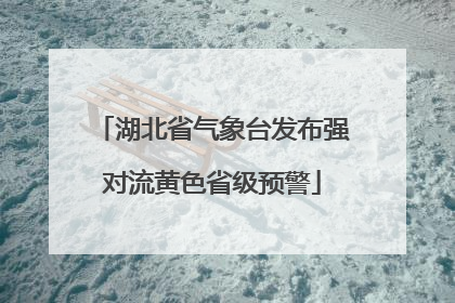 湖北省气象台发布强对流黄色省级预警