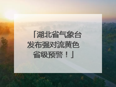 湖北省气象台发布强对流黄色省级预警！
