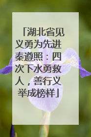湖北省见义勇为先进秦遵照：四次下水勇救人，善行义举成榜样