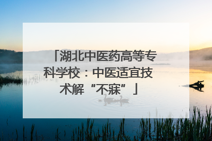 湖北中医药高等专科学校：中医适宜技术解“不寐”