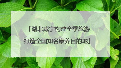 湖北咸宁构建全季旅游 打造全国知名康养目的地