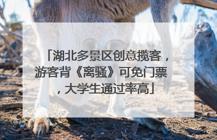 湖北多景区创意揽客，游客背《离骚》可免门票，大学生通过率高