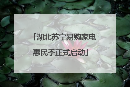 湖北苏宁易购家电惠民季正式启动