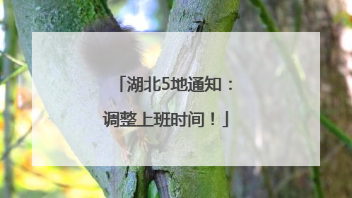 湖北5地通知：调整上班时间！