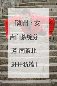 湖州：安吉白茶绽芬芳 南茶北进开新篇