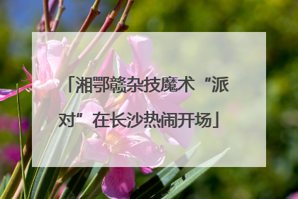 湘鄂赣杂技魔术“派对”在长沙热闹开场